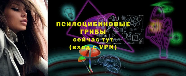 apvp Покачи