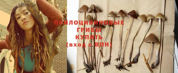 винт Бородино